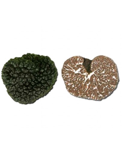Truffe de Bagnoli Fraîche | Tuber Mesentericum (B-qualité) image