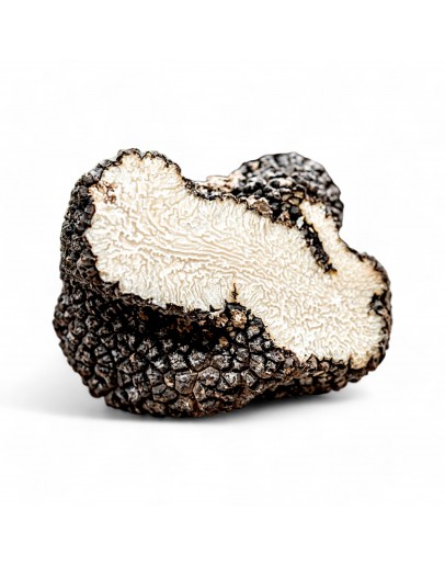 Truffe Noire d'été Fraîches | Tuber Aestivum (A-qualité) image