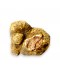 Truffe Blanche Fraîche | Tuber Magnatum (Grande Taille)