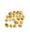 Truffe Blanche Fraîche | Tuber Magnatum (Petite Taille)