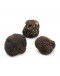 Truffe Noire d'Automne Frais | Tuber Uncinatum (A-qualité)