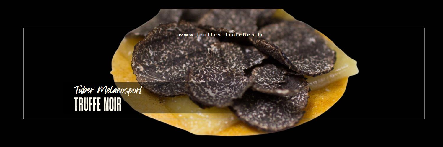 Brisures de truffes noires - pelures (tuber aestivum)