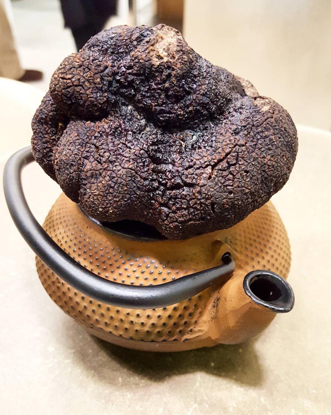 Noir frais Truffes Tuber Uncinatum A-qualité-alt